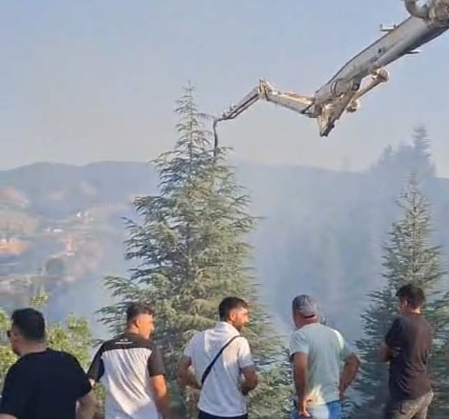 Malatya’daki orman yangınına beton pompasıyla destek