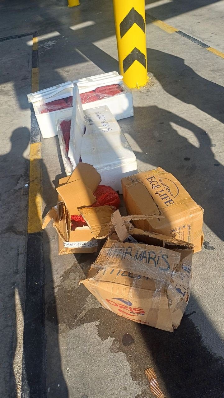 Muğla otob&uuml;s terminalinde sahipsiz midyelere el konuldu
