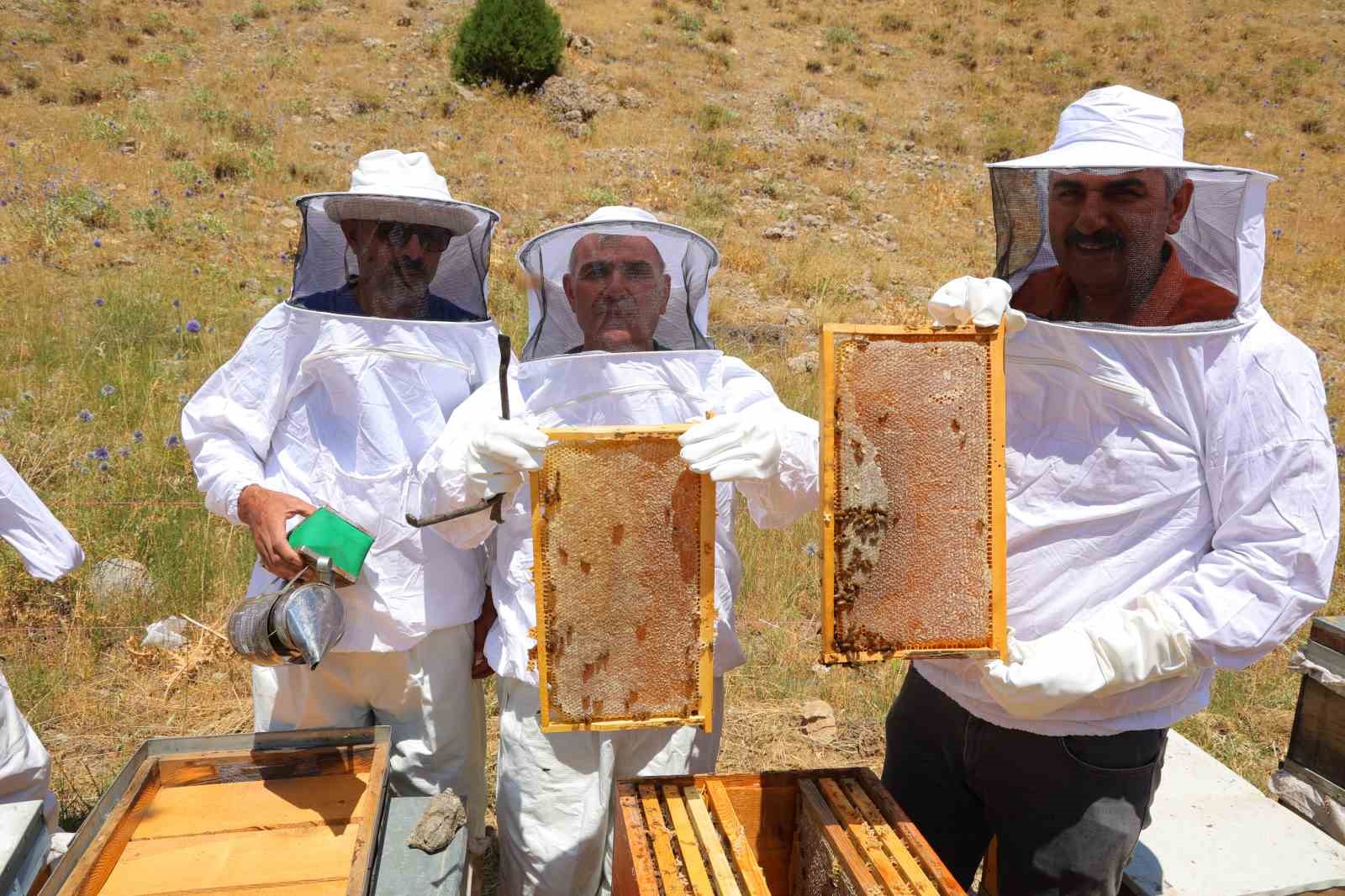 Kahramanmaraş’taki Engizek Yaylası’nda bal mesaisi