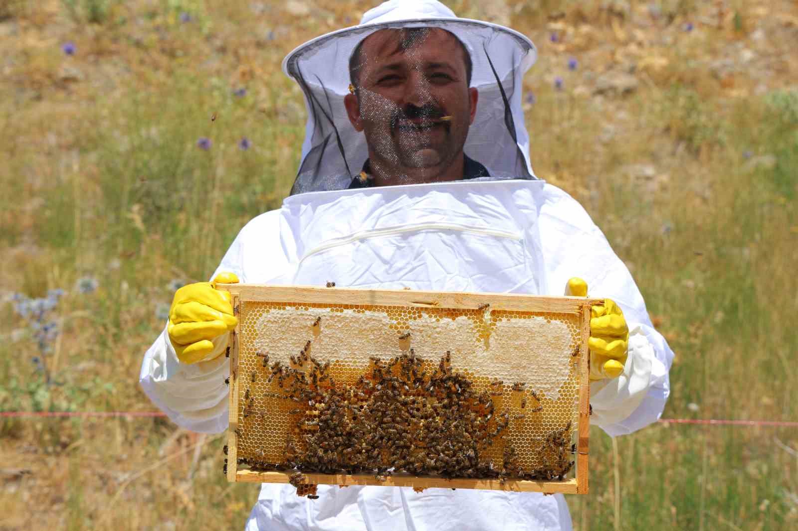 Kahramanmarataki Engizek Yaylasnda bal mesaisi
