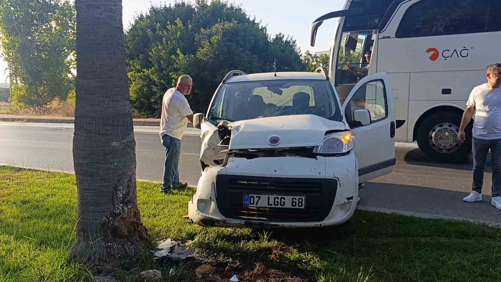 Direksiyon hakimiyetini kaybeden s&uuml;r&uuml;c&uuml; palmiyeye &ccedil;arptı
