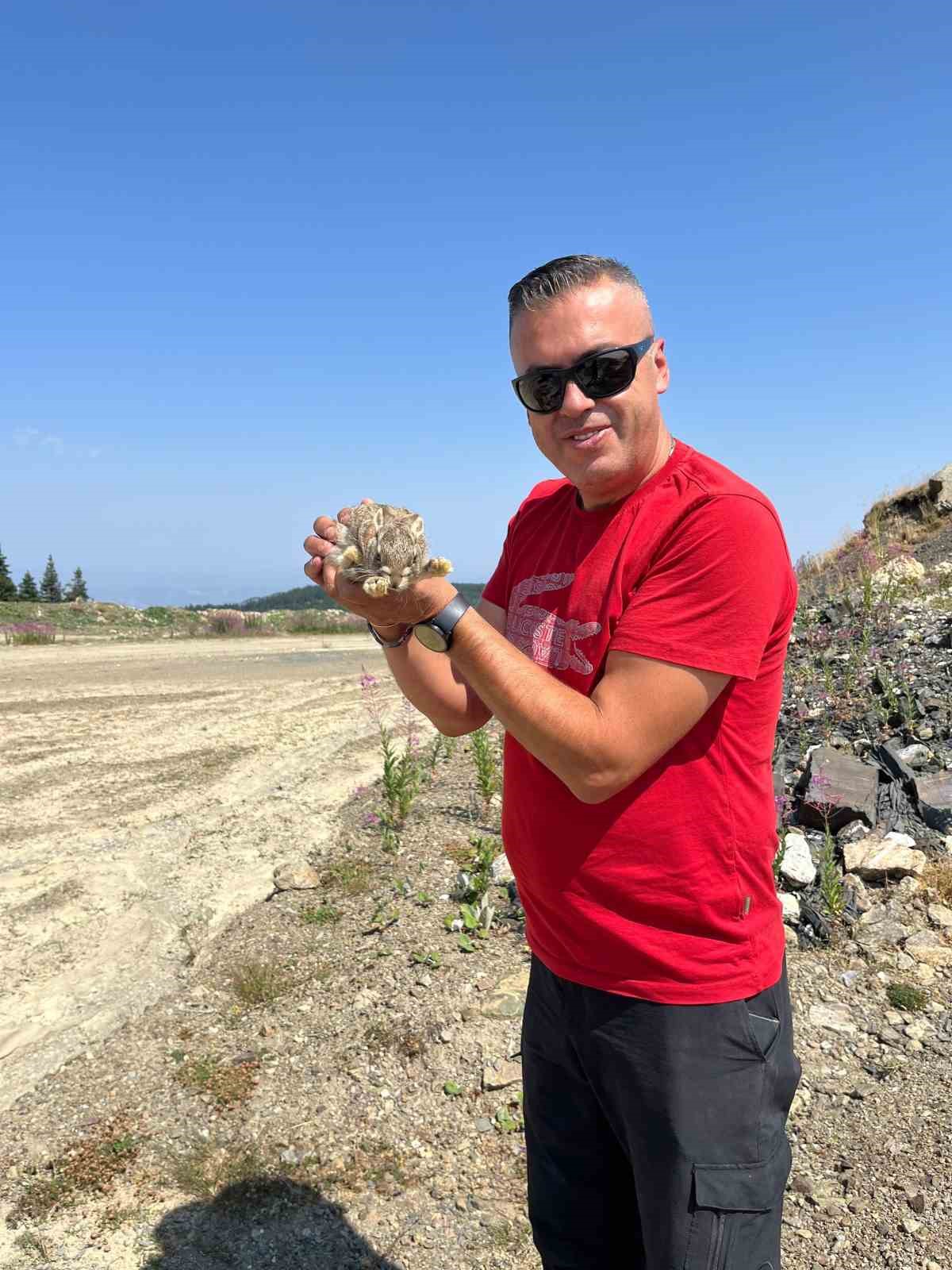 Kastamonu&rsquo;da yaban hayvanları renkli g&ouml;r&uuml;nt&uuml;ler oluşturdu
