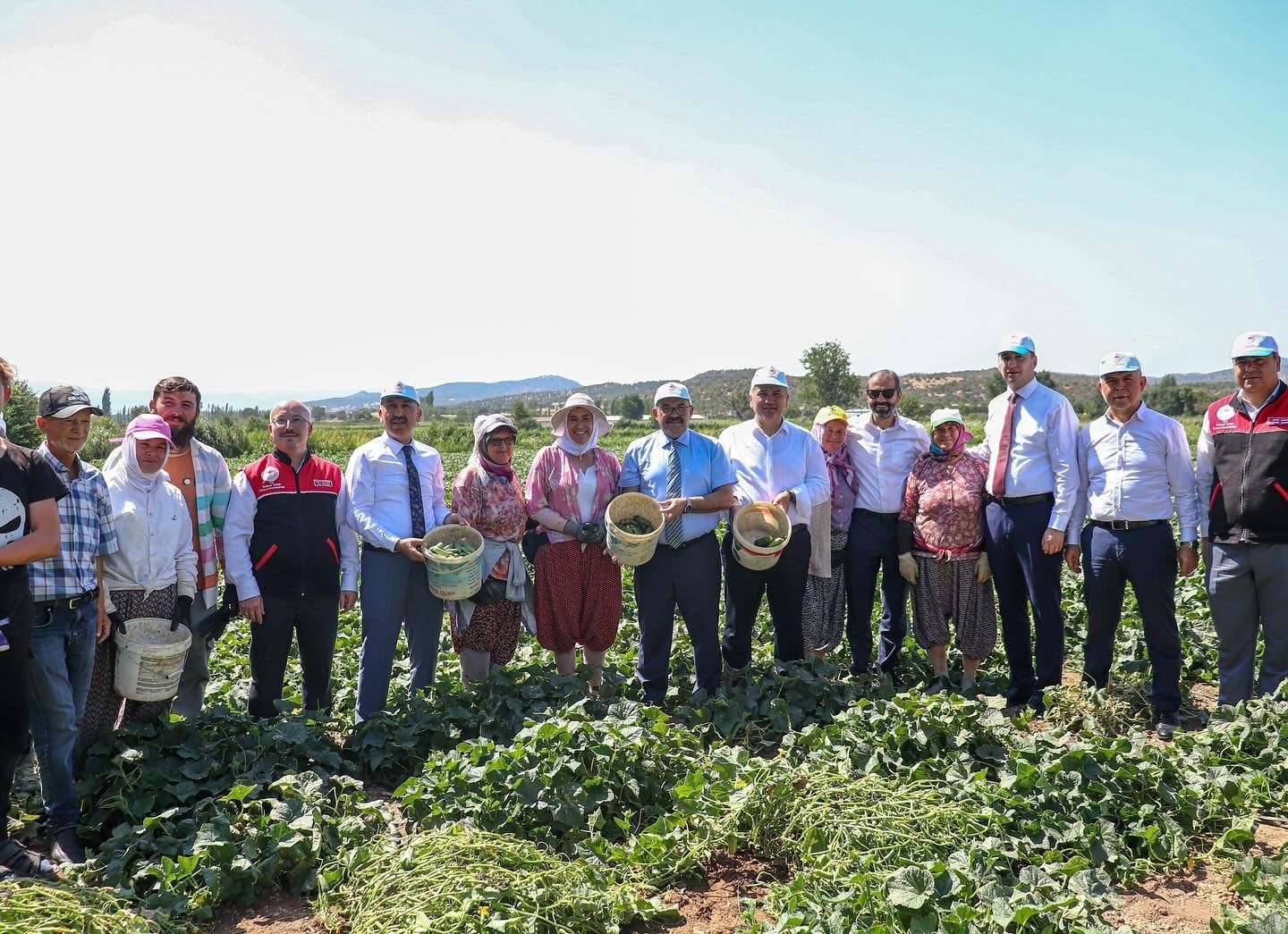 Sındırgı&rsquo;da Vali İsmail Ustaoğlu kornişon hasadına katıldı
