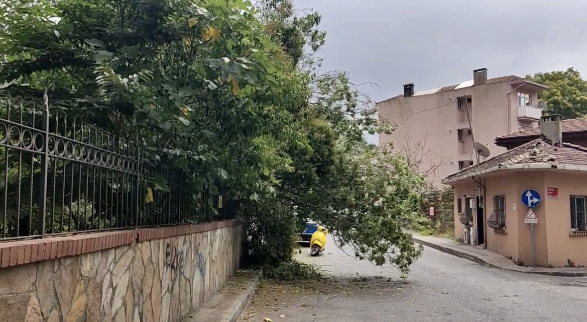 Sarıyer&rsquo;de yaş ağa&ccedil; mezarlıkların &uuml;zerine devrildi
