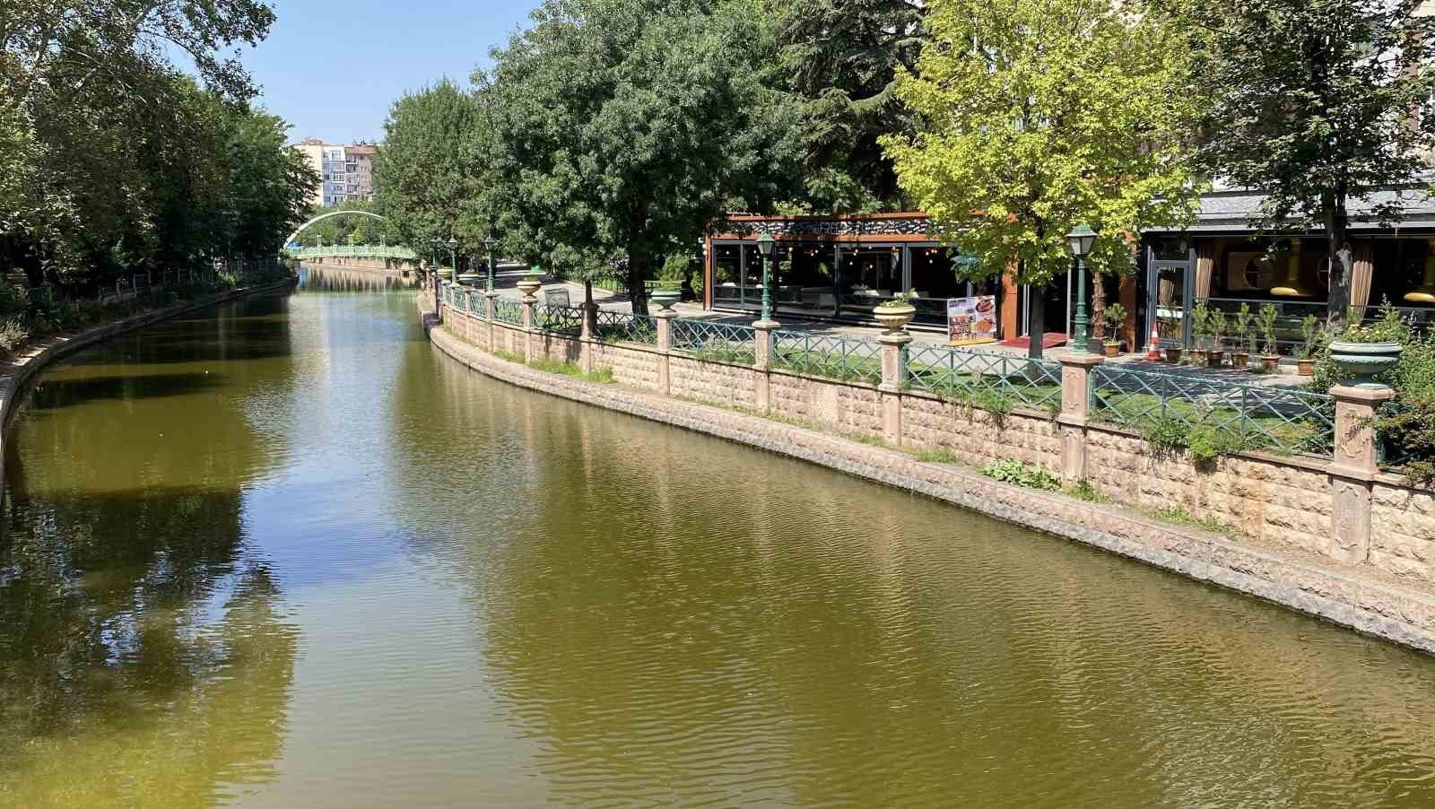 Porsuk &Ccedil;ayı&rsquo;nın rengi yeşile d&ouml;nd&uuml;
