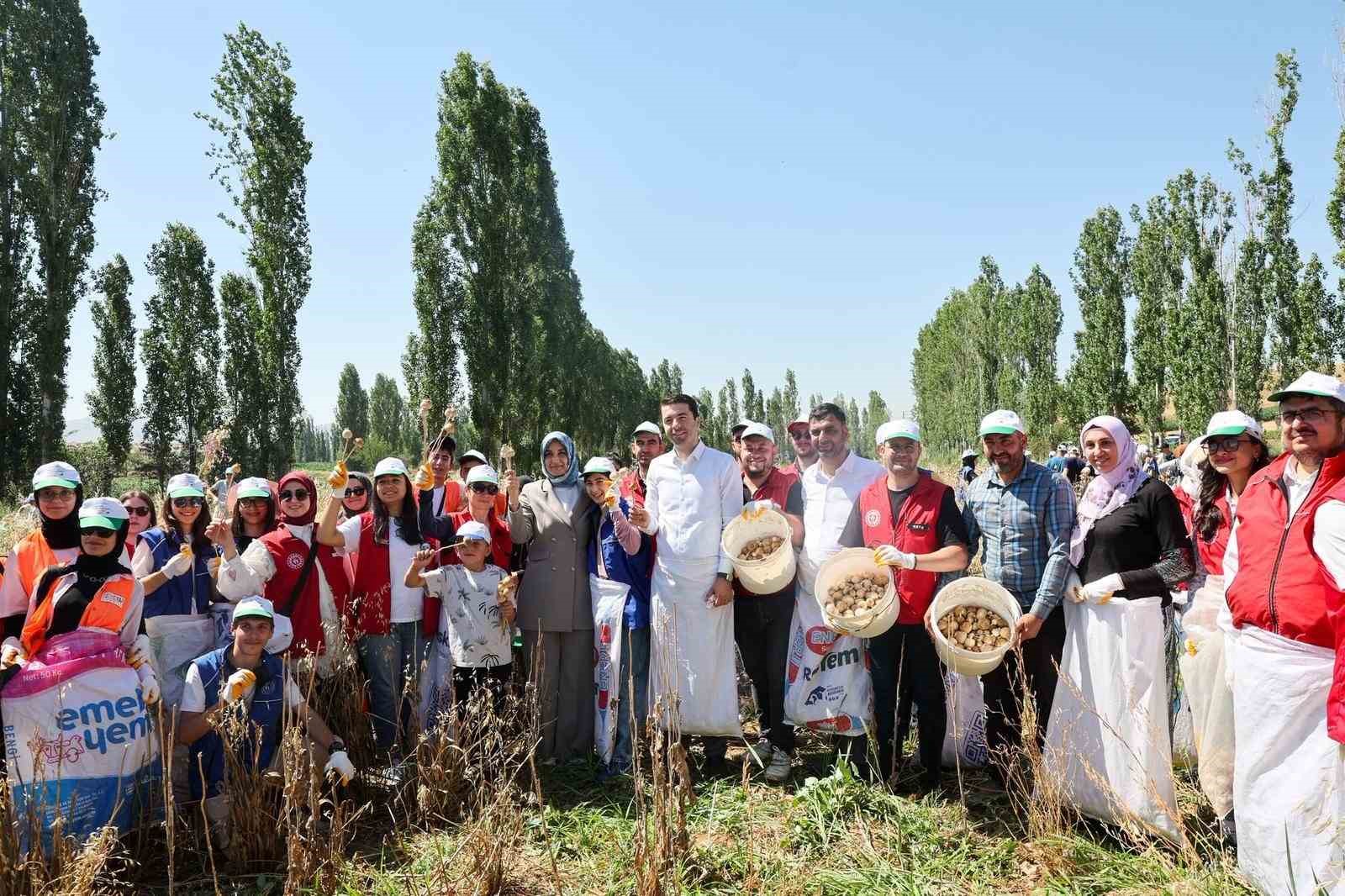 Gençler hasat etkinliği ile üretim süreçlerini yakından deneyimliyor