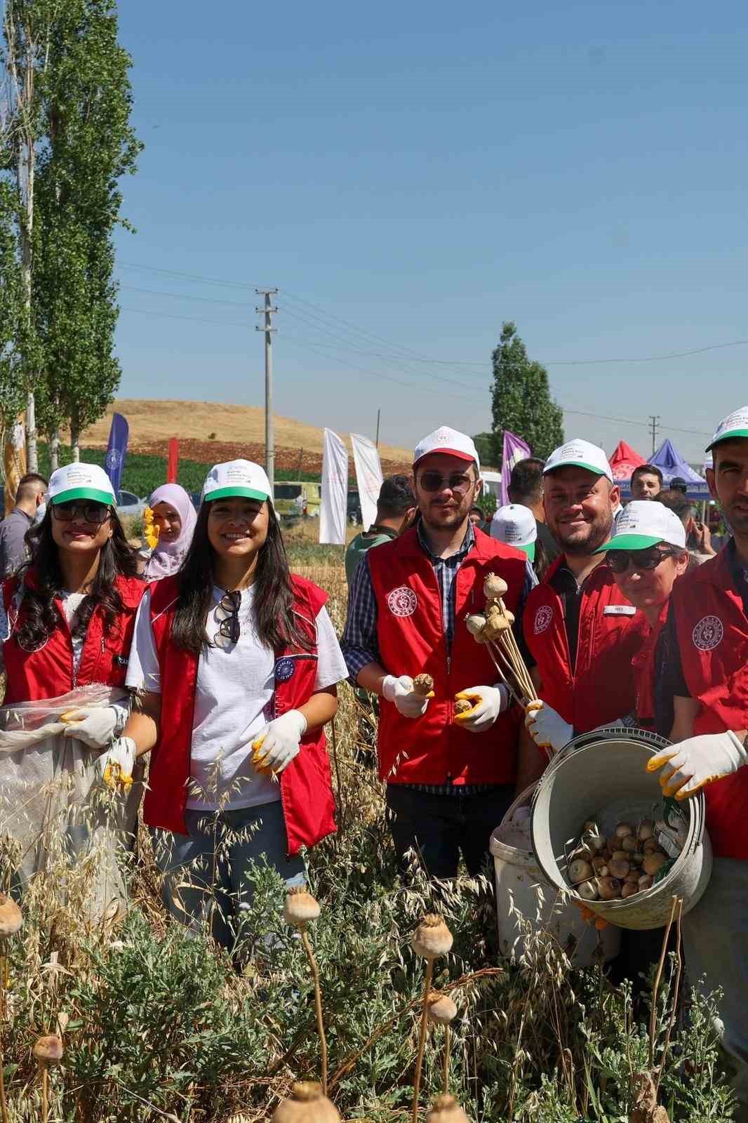 Gen&ccedil;ler hasat etkinliği ile &uuml;retim s&uuml;re&ccedil;lerini yakından deneyimliyor
