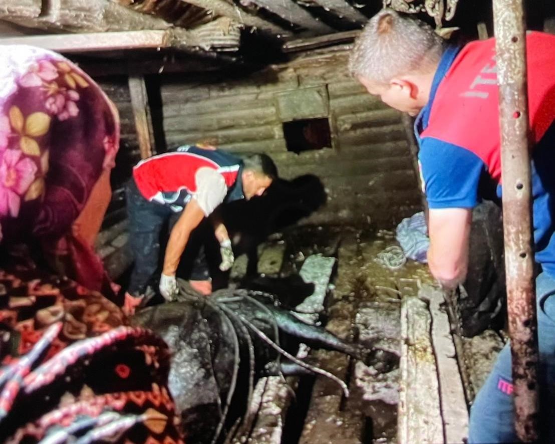 Türkeli’de ahır çöktü, büyükbaş hayvan kurtarıldı