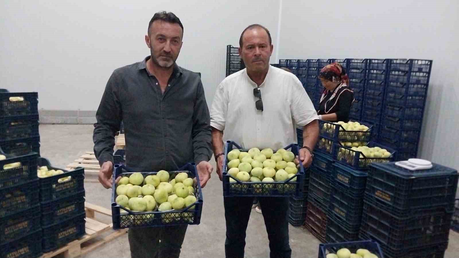 Mut beyaz inciri ihracata gidiyor