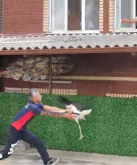 Tek ayaklı leyleği havada yakaladı, itfaiye erinin refleksi leyleğin hayatını kurtardı