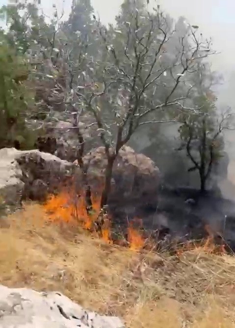 Ormanlık alanda çıkan yangın söndürüldü