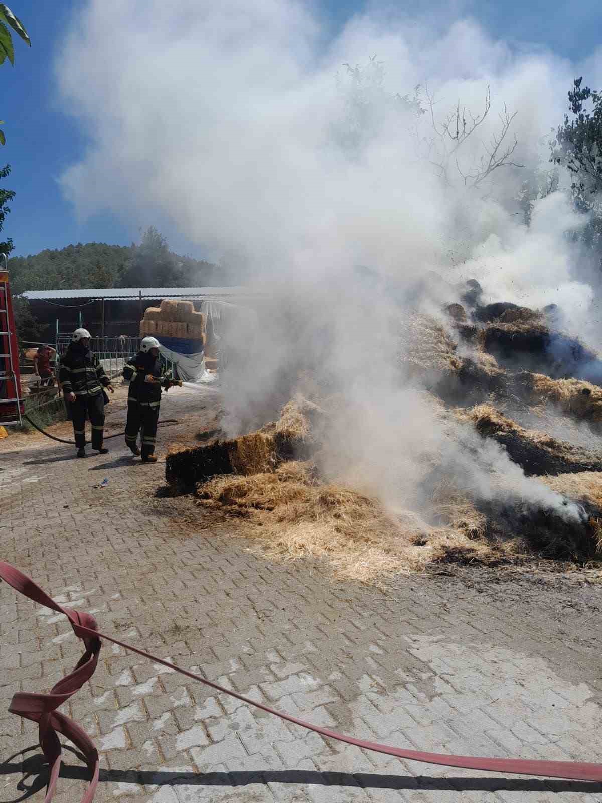 Burdur’da çıkan yangında 250 saman balyası kül oldu