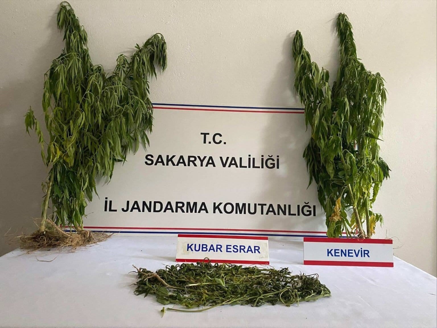 Sakarya’da uyuşturucu operasyonu: 3 gözaltı
