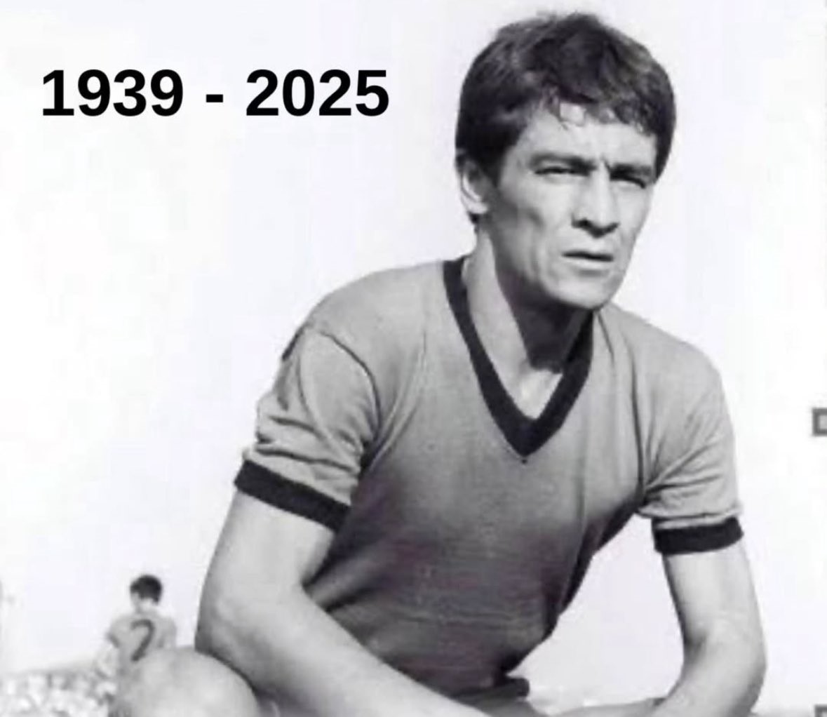 Nebi Hatipoğlu’ndan Süreyya Özkefe için taziye mesajı