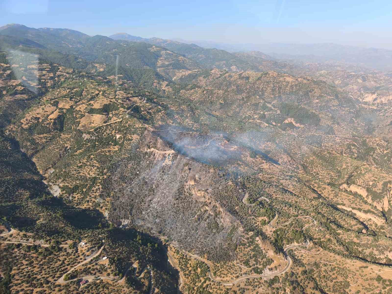 Aydın&rsquo;daki orman yangını kontrol altına alındı
