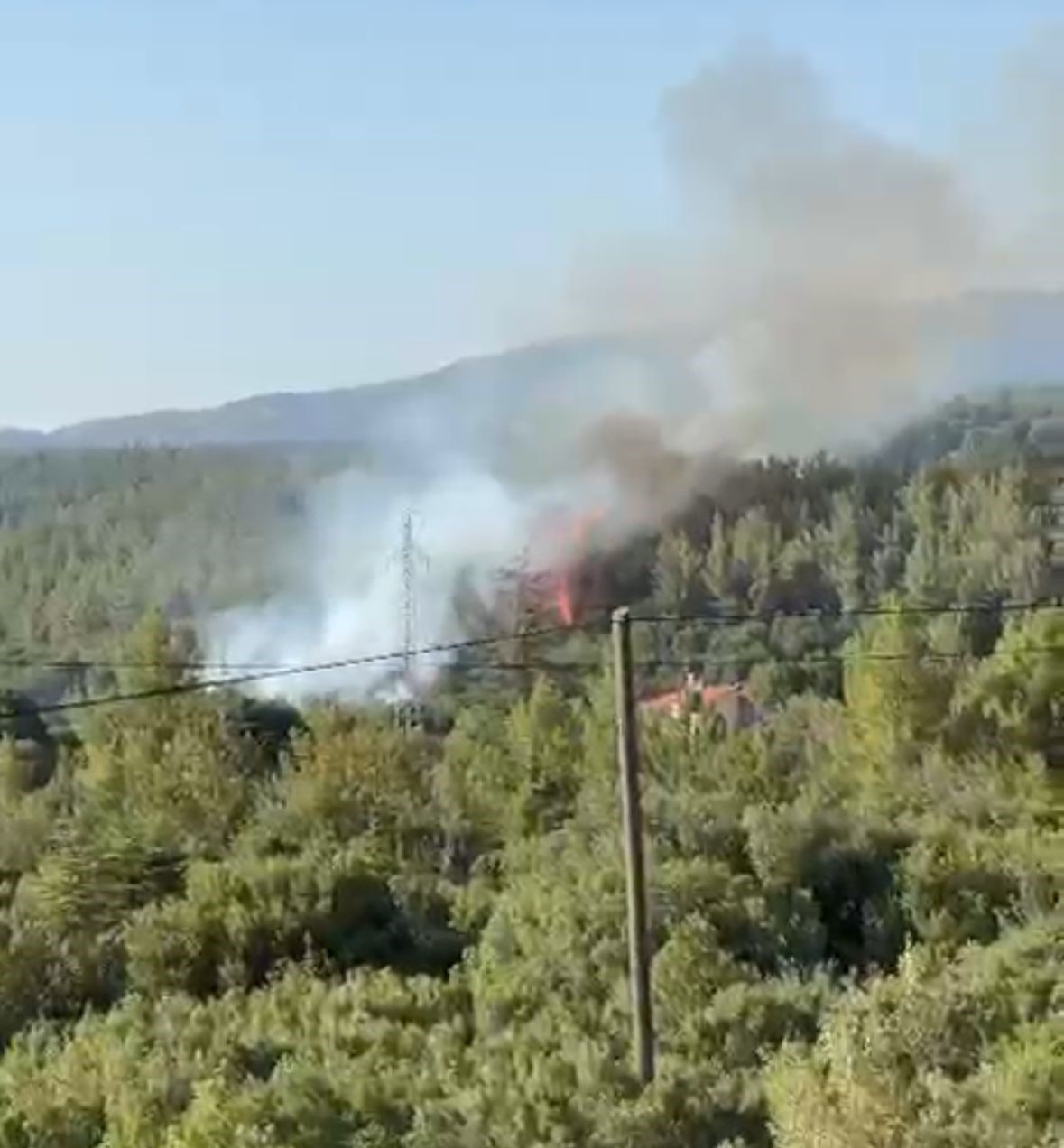 Denizli&rsquo;de orman yangını
