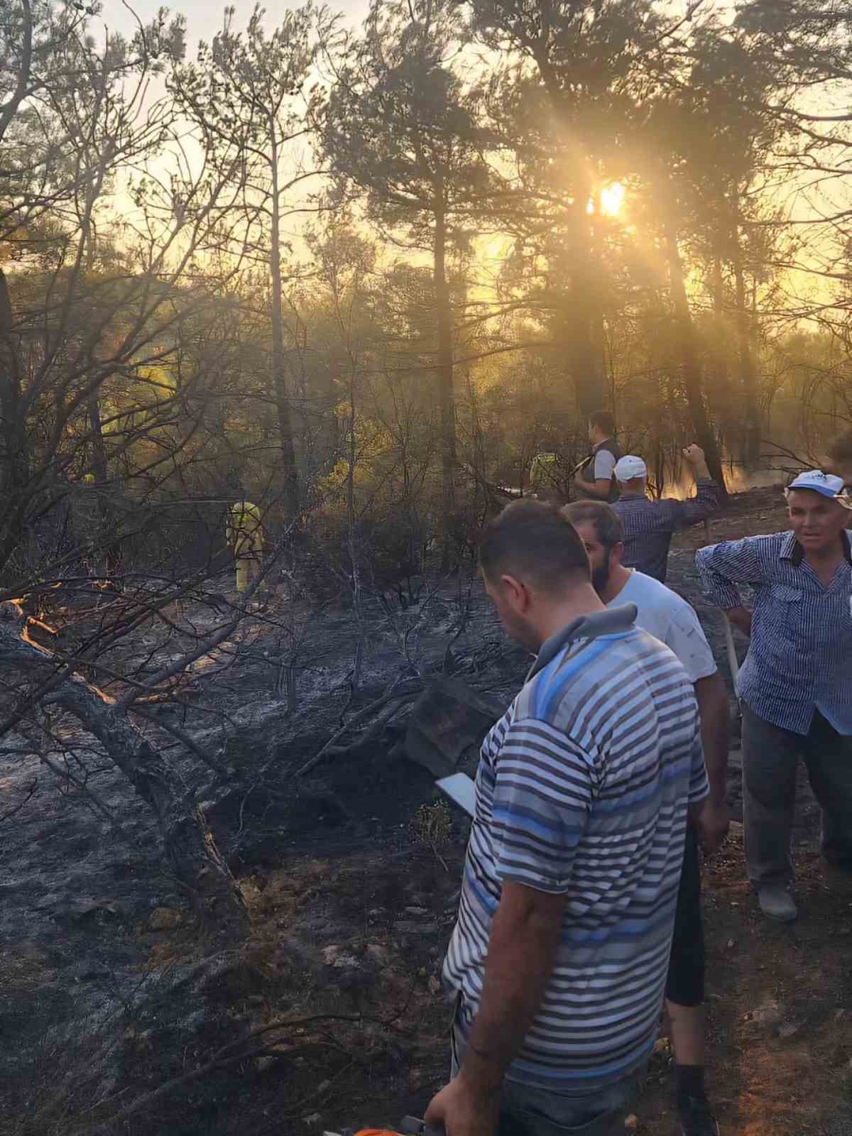 Tavas&rsquo;taki orman yangını kontrol altına alındı
