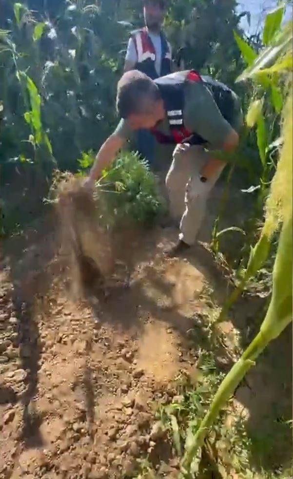 Uyuşturucu madde &uuml;reten zahir taciri yakalandı
