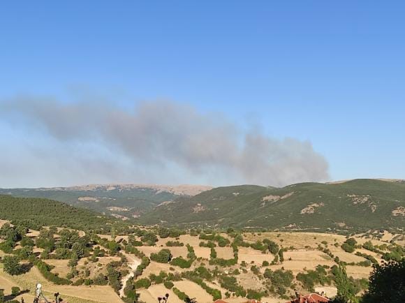 Afyonkarahisar’da orman yangını