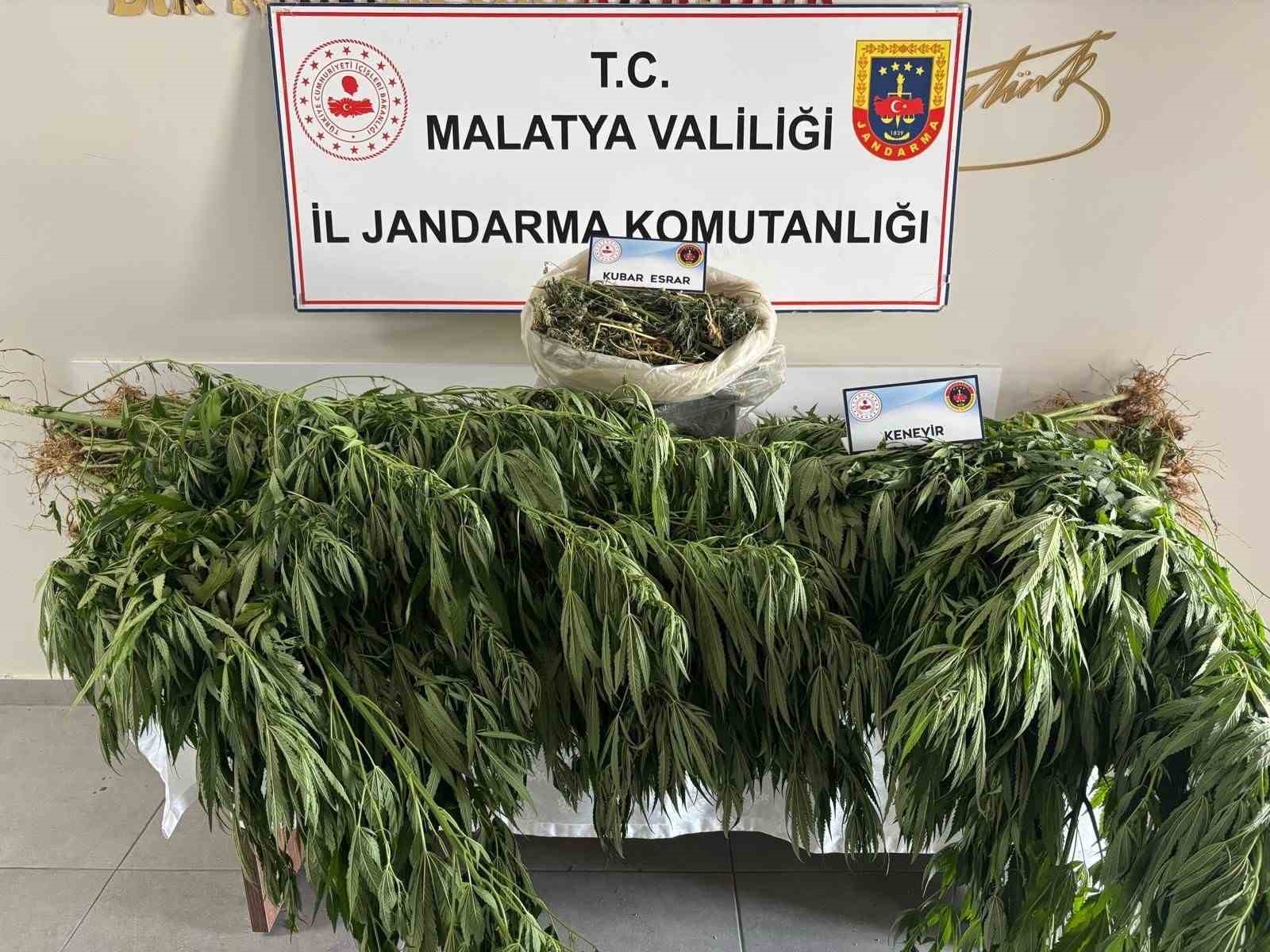 Malatya’da jandarmadan uyuşturucu operasyonu