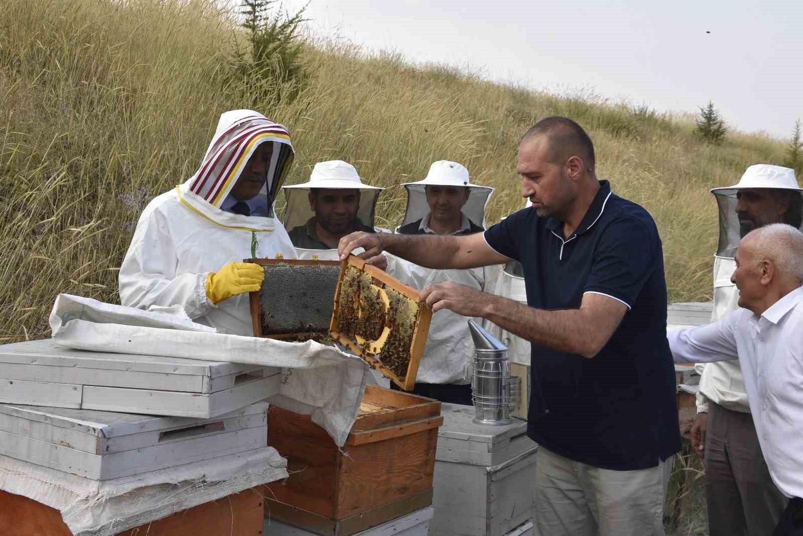 Bitlis Eren &Uuml;niversitesinde y&uuml;ksek kaliteli bal hasadı başladı
