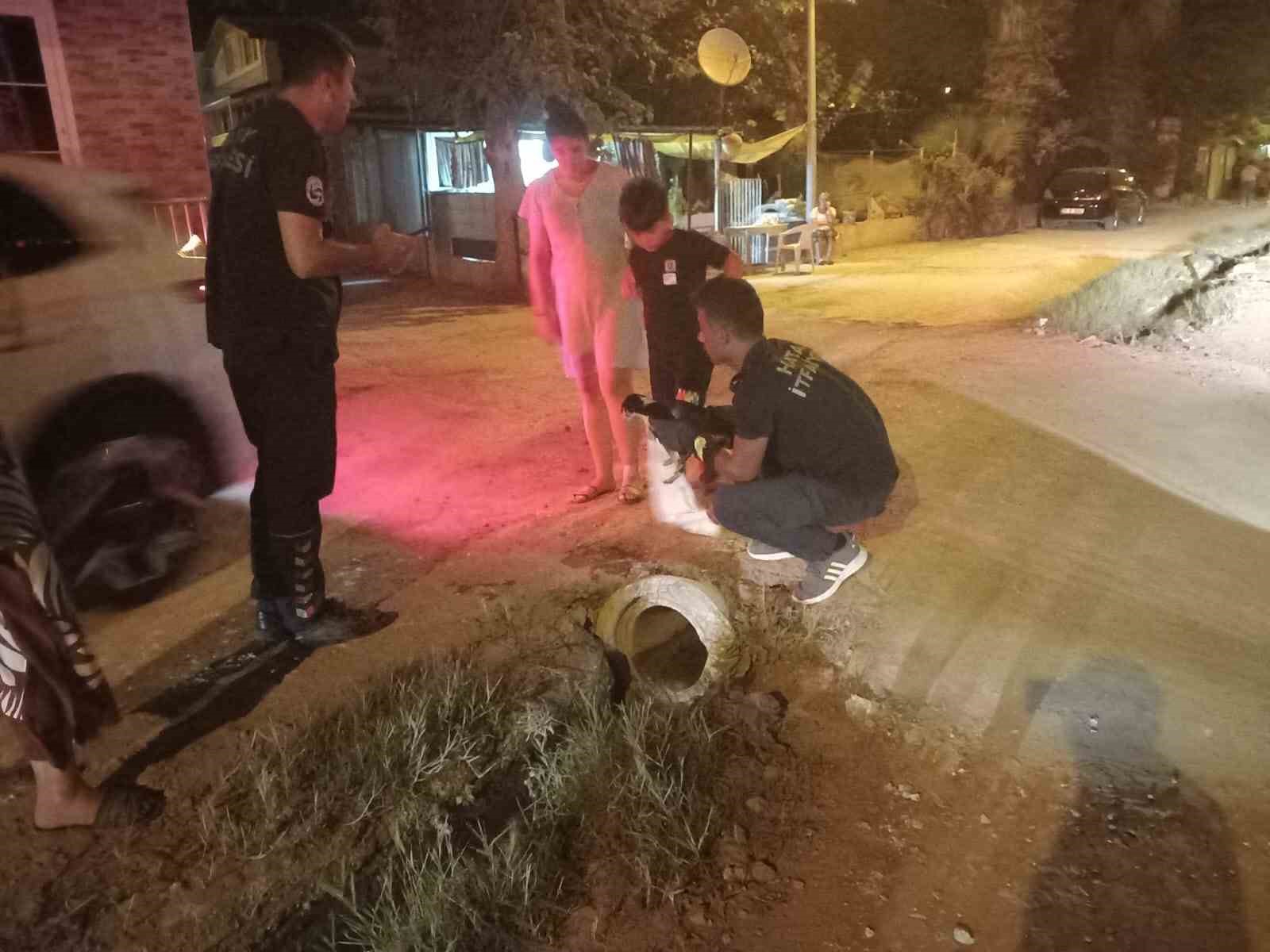 Kanalizasyon borusuna sıkışan yavru köpeği itfaiye kurtardı