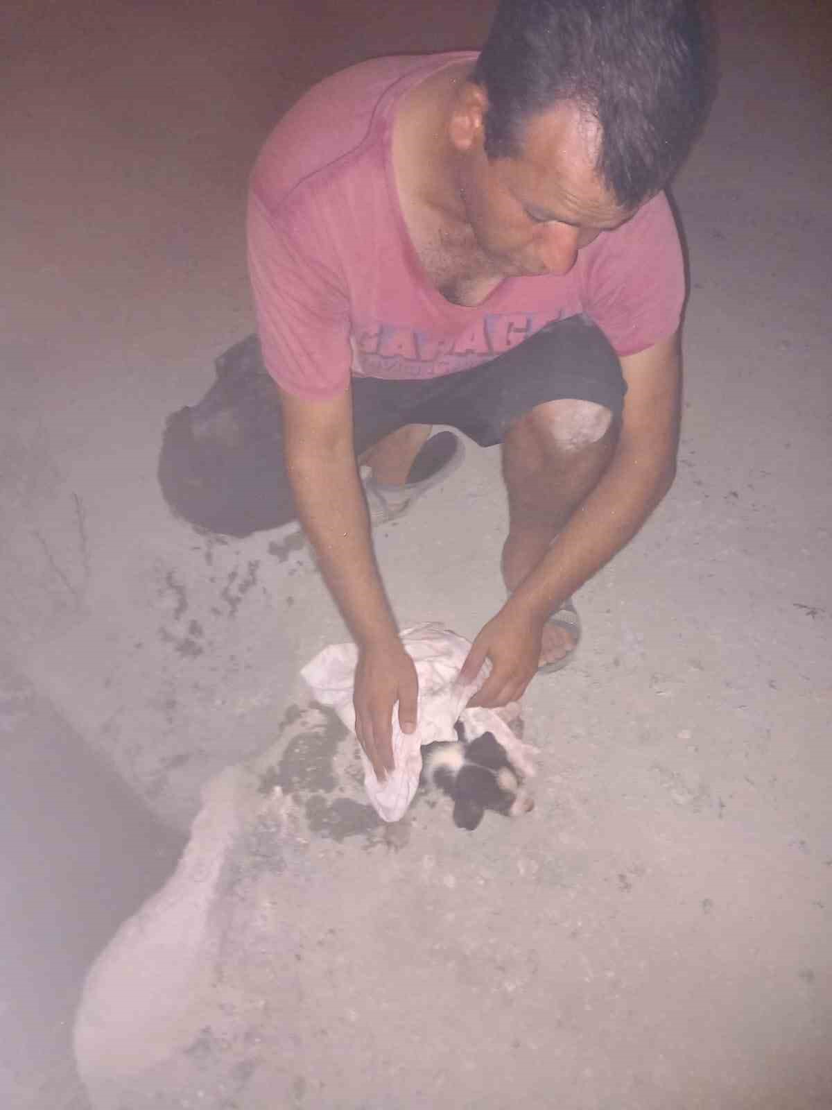 Kanalizasyon borusuna sıkışan yavru köpeği itfaiye kurtardı