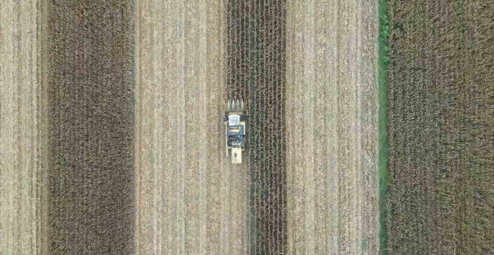 Adana’da mısır hasadı başladı