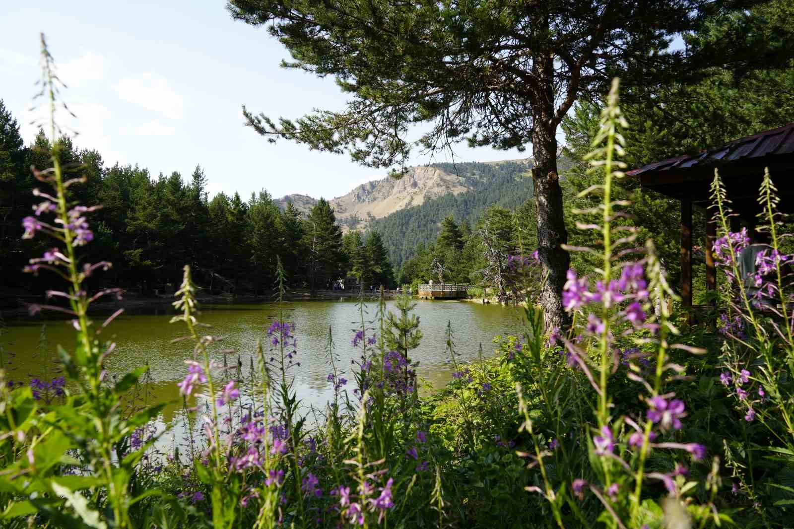 Tropikal sıcaklardan bunalanlar soluğu Limni Gölü’nde aldı