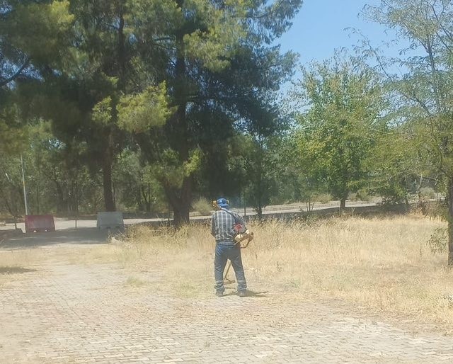 Dünyaca ünlü antik kentte kuru otlar temizlendi