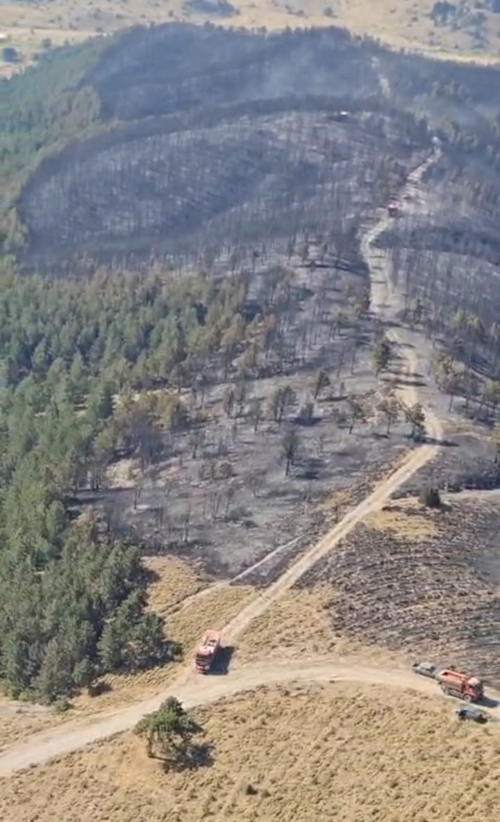 Yangında yaklaşık 5 hektarlık alan zarar gördü