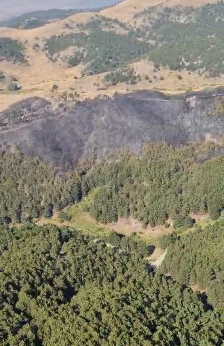 Yangında yaklaşık 5 hektarlık alan zarar g&ouml;rd&uuml;
