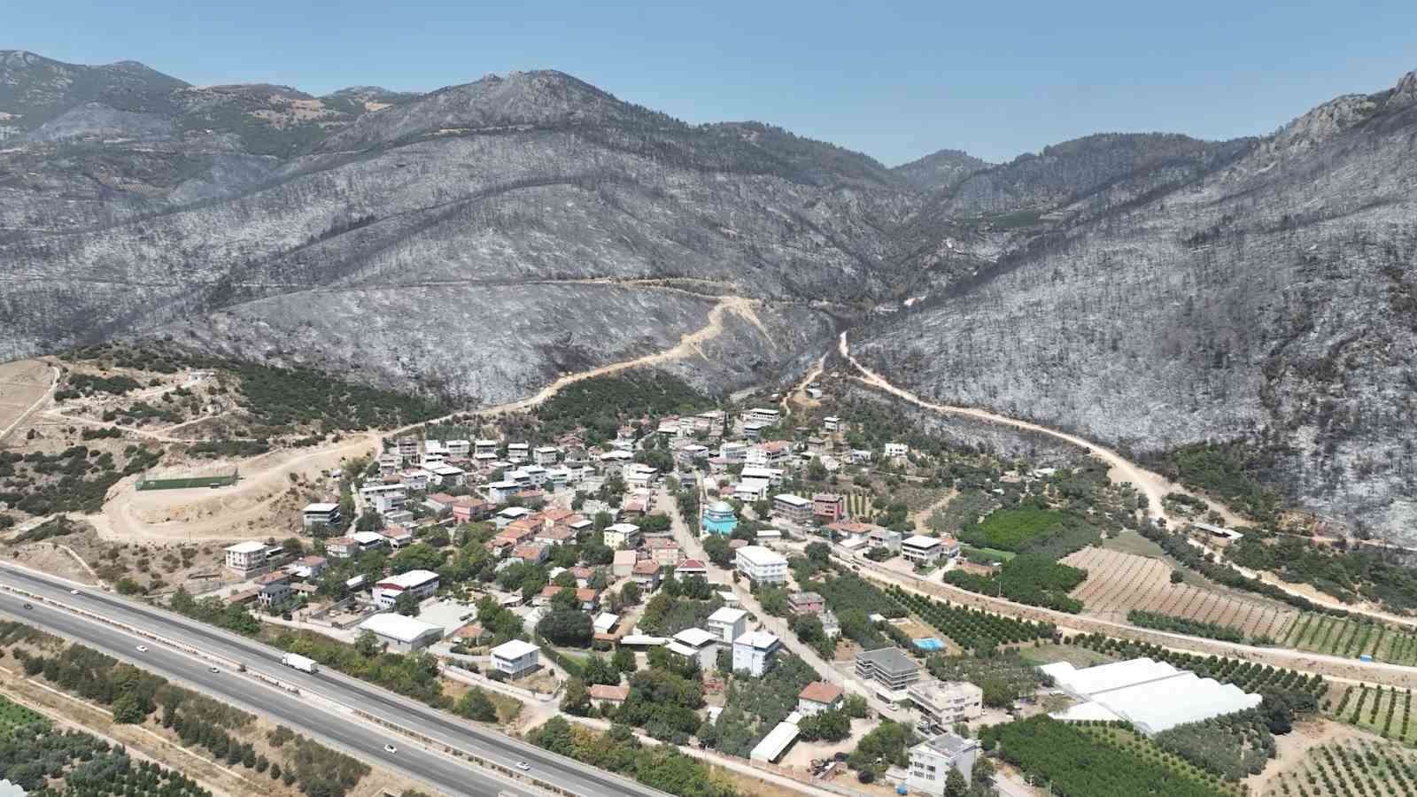 Yeşil Bursa’nın yemyeşil ormanları böyle karardı
