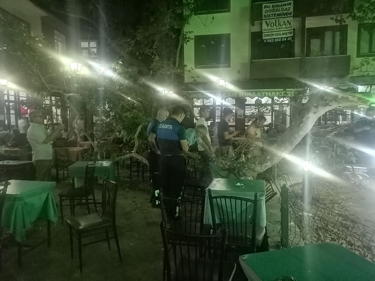 Asırlık çınarın dalı kalabalığın üzerine düştü: 1 yaralı