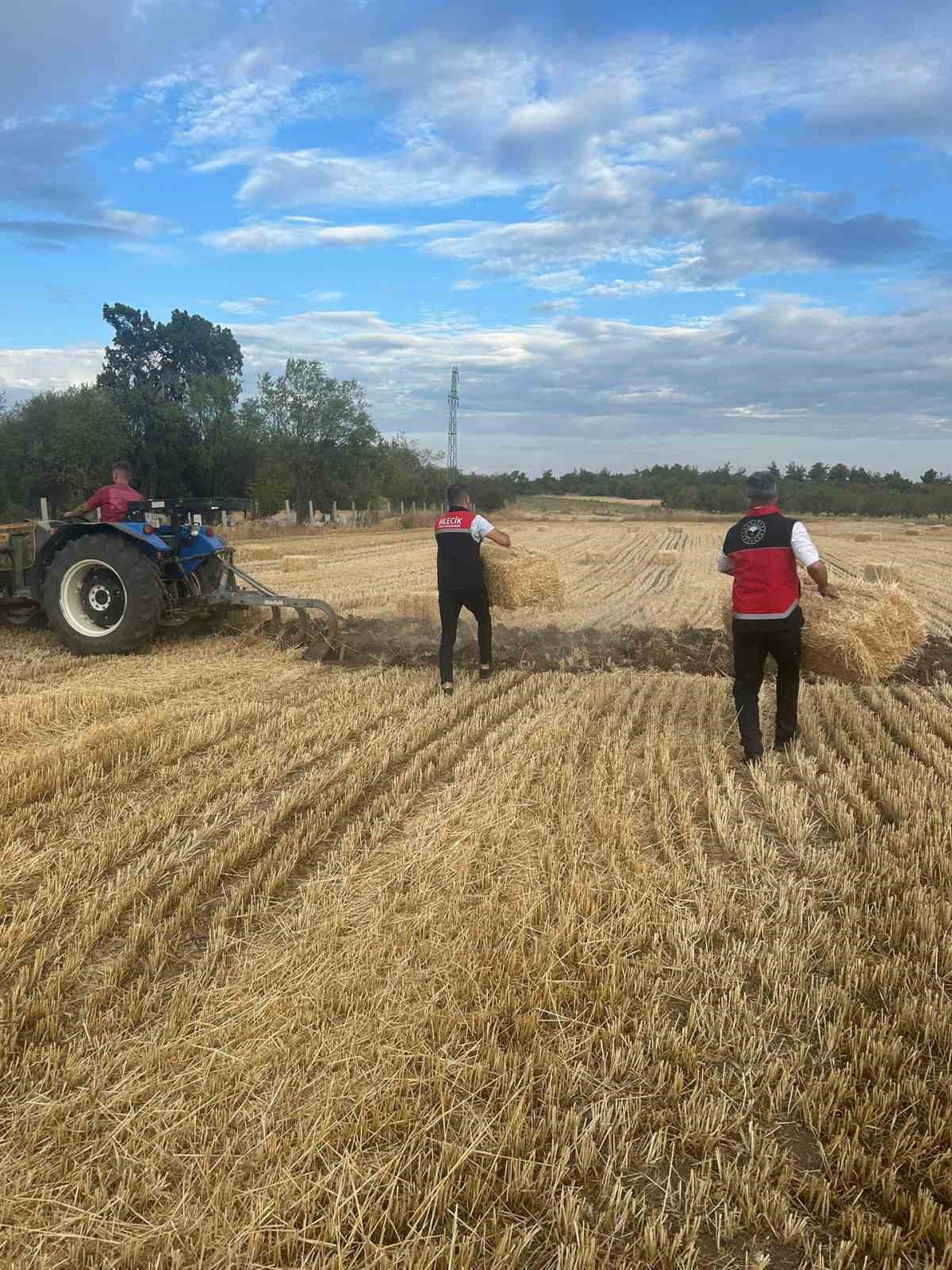 Tarım Müdürlüğü ekipleri yangın sonrası üreticilerin yanında