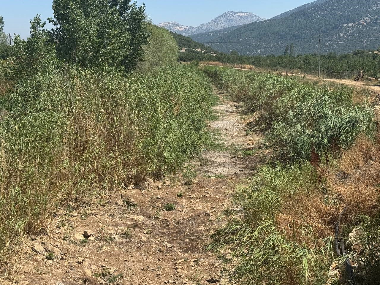 Sulama suyu verilmeyen k&ouml;yl&uuml;ler tankerlerle meyve bah&ccedil;elerine su taşıyor
