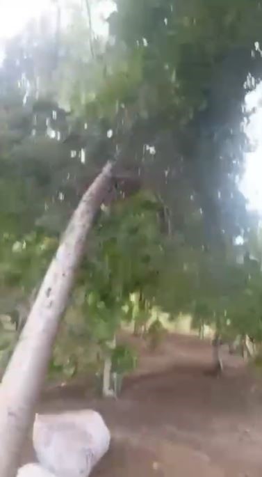 Siverek’te fırtına hayatı olumsuz etkiledi