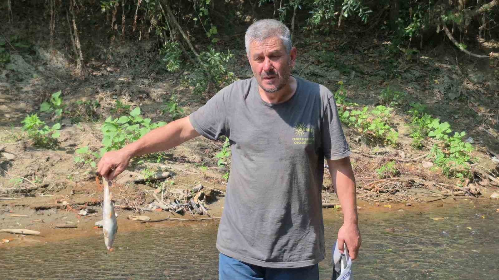 Bartın&rsquo;da toplu balık &ouml;l&uuml;mleri
