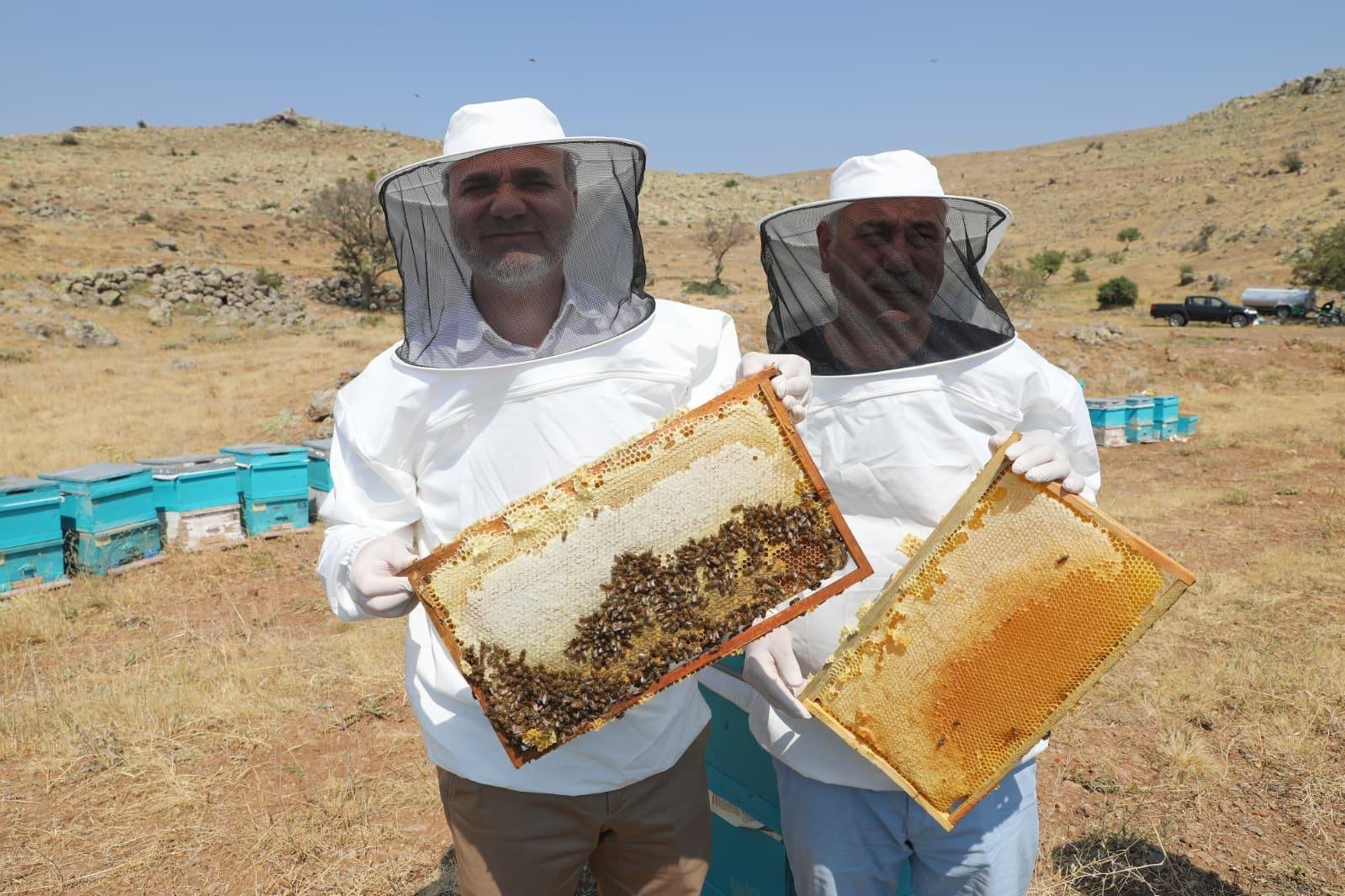NÖHÜ’nün arı kovanlarından 2 ton bal elde edildi
