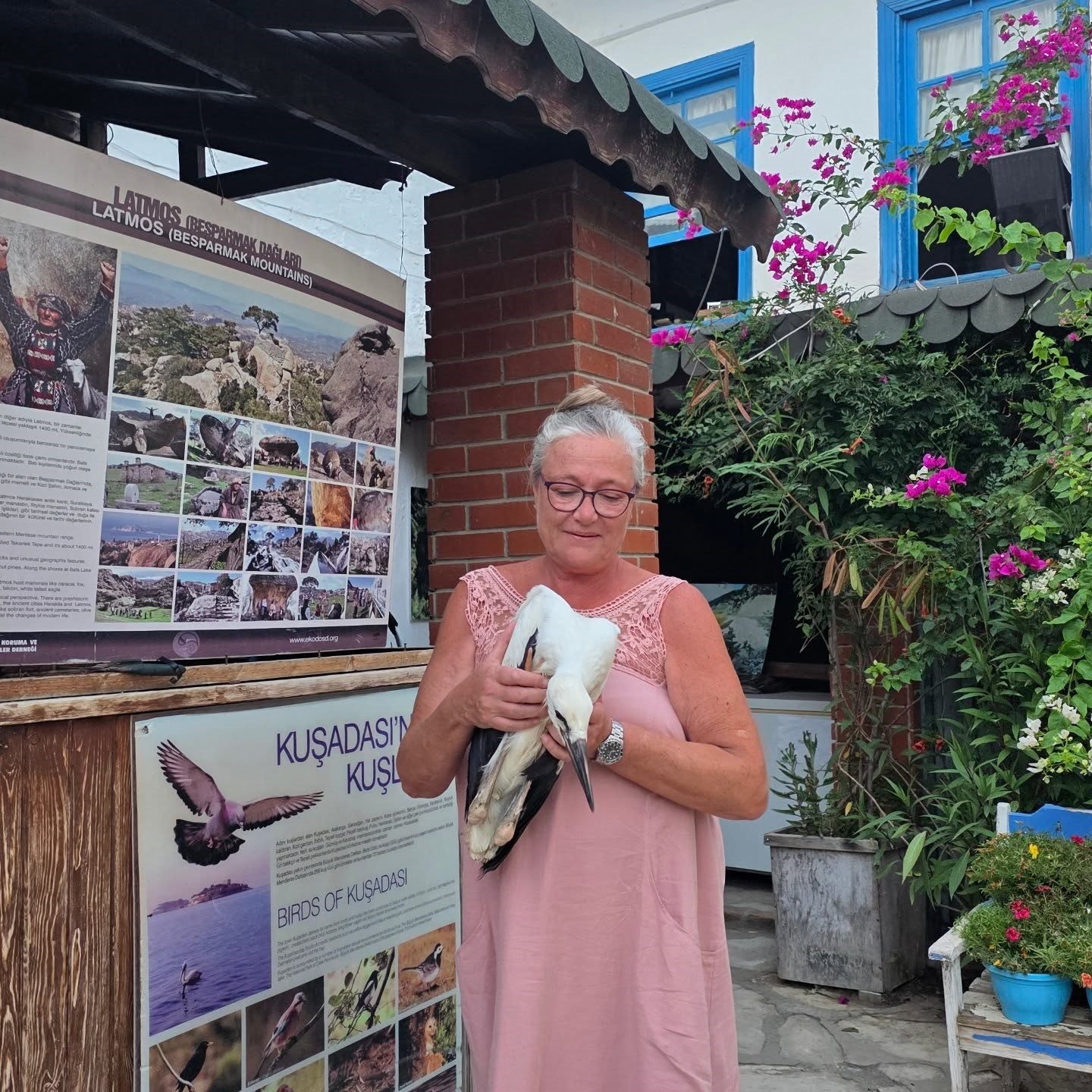 Yavru Leylek EKODOSD&rsquo;da bakıma alındı, g&ouml;&ccedil; i&ccedil;in hazırlanıyor

