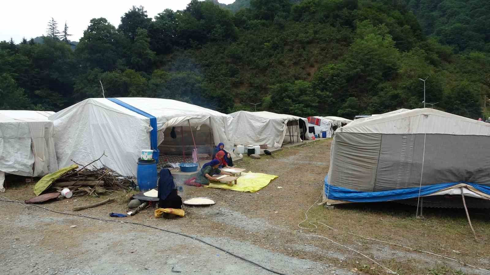 Mevsimlik tarım işçileri fındık hasadı için Ordu’da