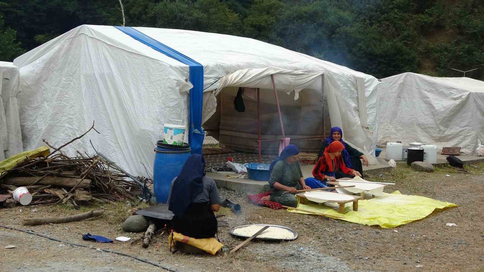 Mevsimlik tarım iş&ccedil;ileri fındık hasadı i&ccedil;in Ordu&rsquo;da

