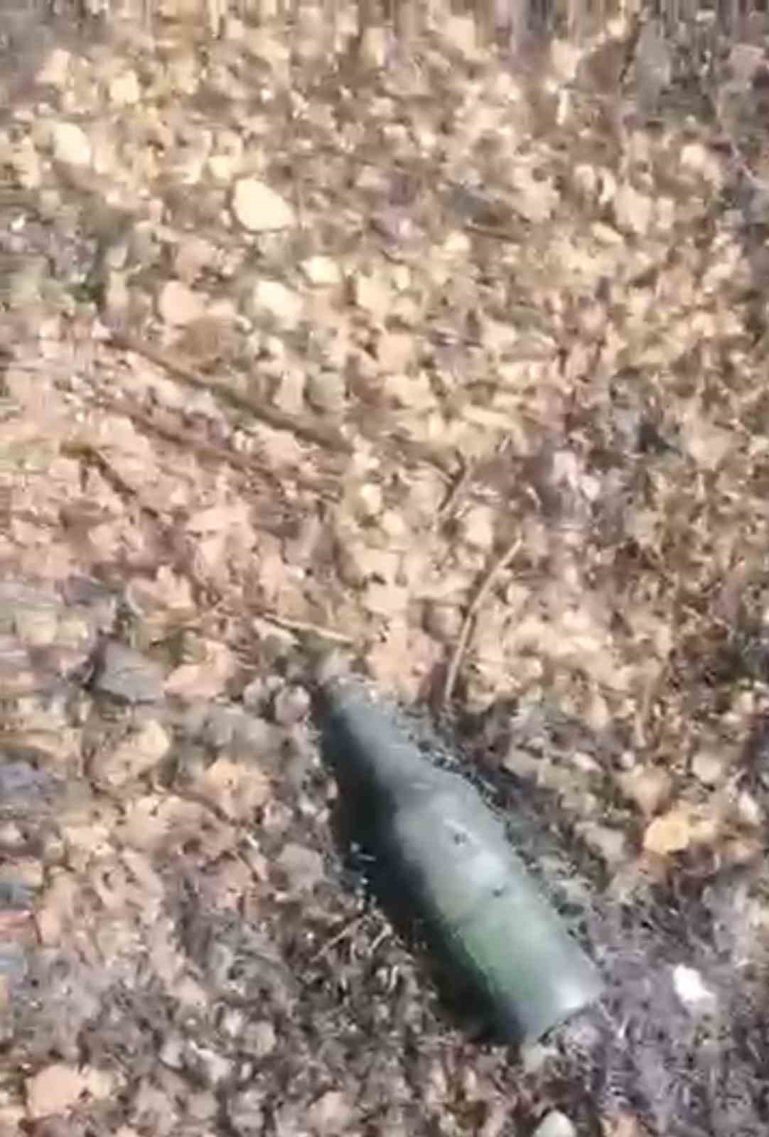 Balıkesir’de tarla yangını sonrası üzücü manzara