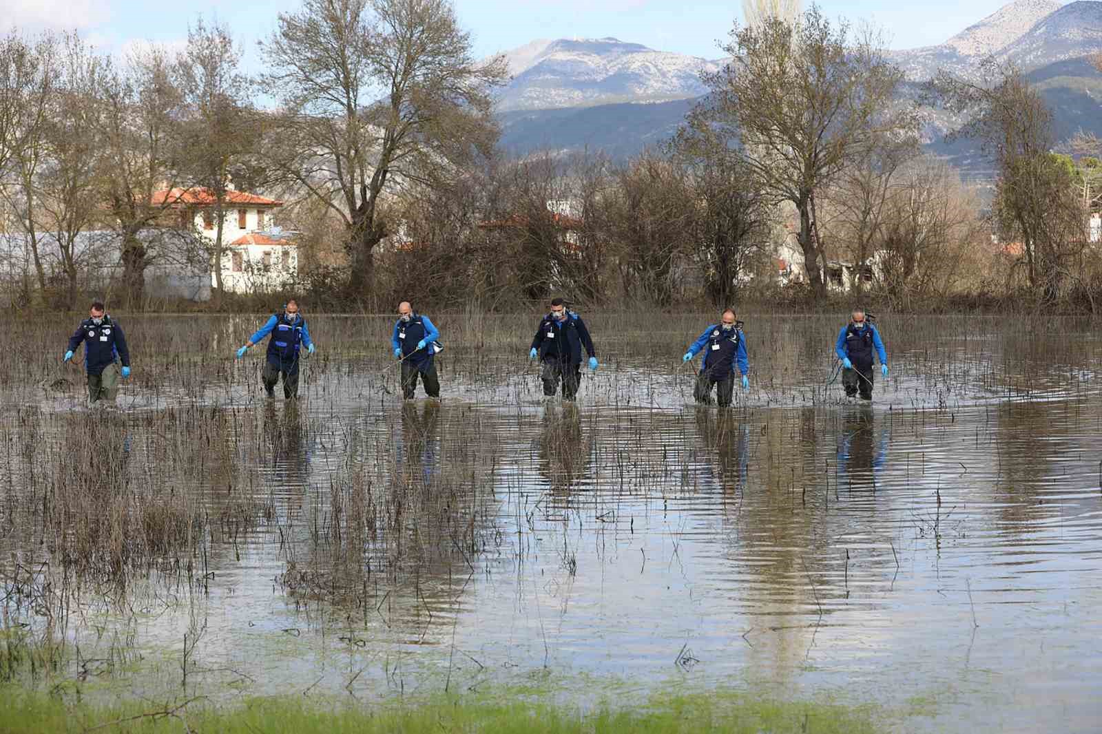 Muğla B&uuml;y&uuml;kşehir&rsquo;den 13 il&ccedil;ede vekt&ouml;rle m&uuml;cadele
