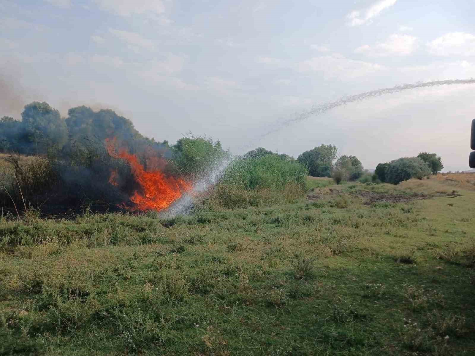 Ağaçlık alanda çıkan yangın itfaiye ekiplerince söndürüldü