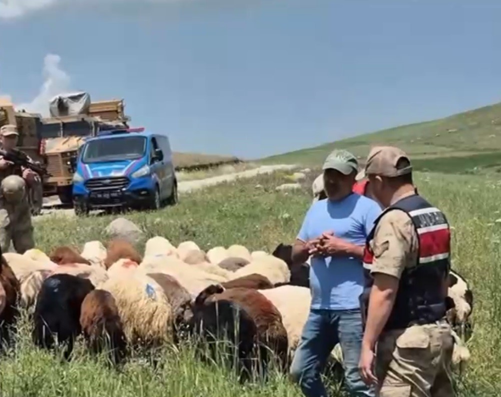 Kars&rsquo;ta kayıp k&uuml;&ccedil;&uuml;kbaş hayvanlar bulundu
