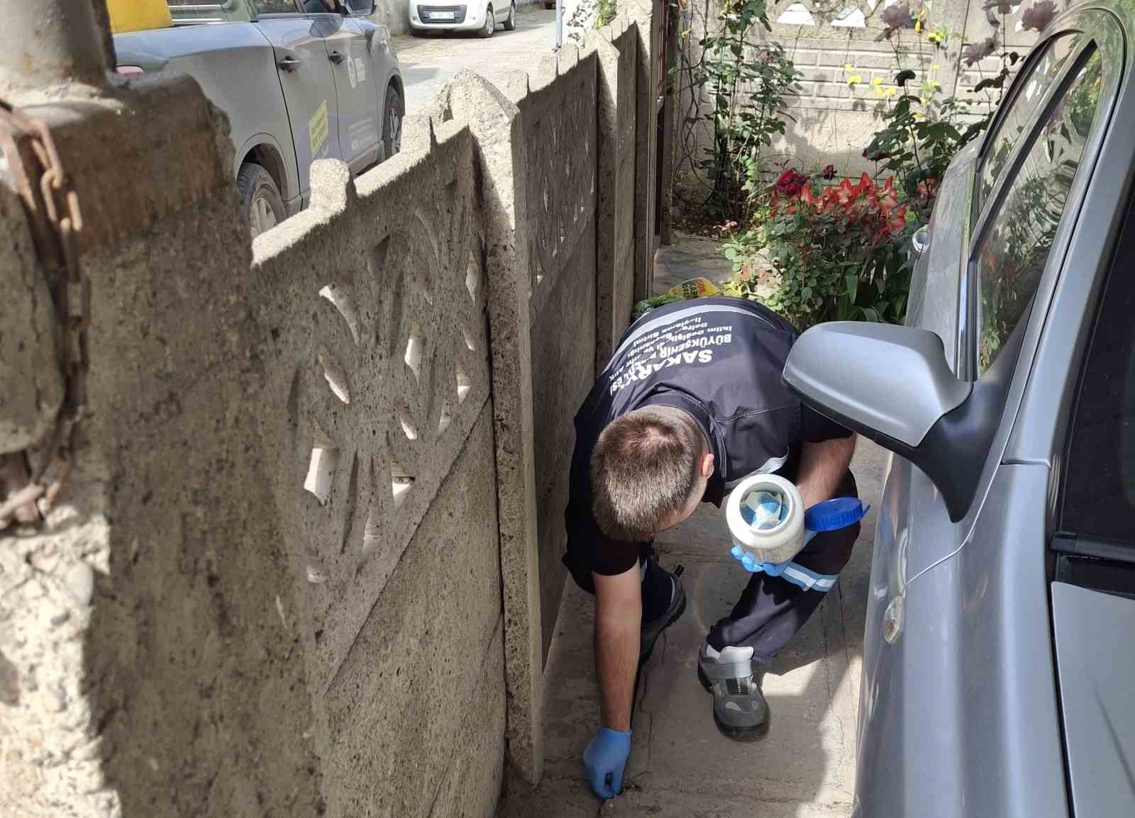 Sakarya&rsquo;da vekt&ouml;rle m&uuml;cadelede yoğun &ccedil;alışma
