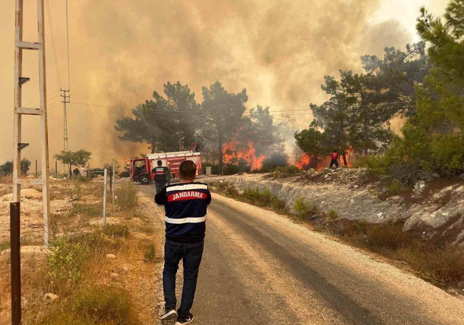 Mersin’deki orman yangınında jandarma ekipleri aktif rol aldı