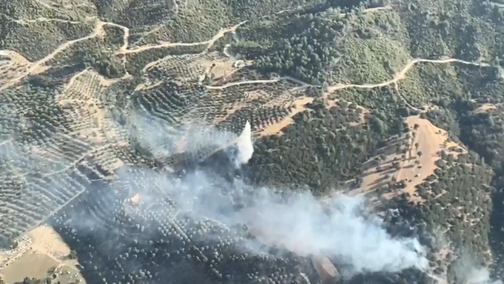 Kuyucak’ta zirai alan ve makilik yangını