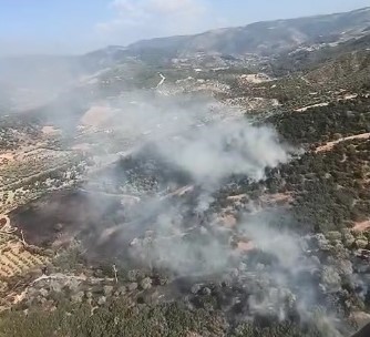 Kuyucak&rsquo;ta zirai alan ve makilik yangını
